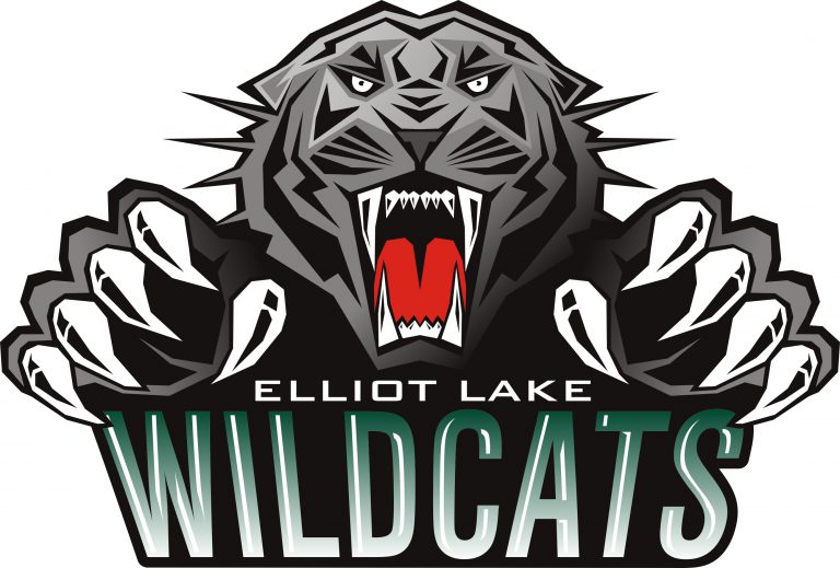 Elliot Lake council wants Wildcats to buy their own flag pole