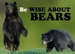 Bears don’t practice physical distancing, so stay vigilant
