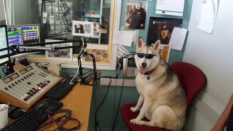Four-legged Friends Benefit from Elliot Lake Radiothon