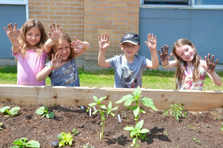 Rainbow fastest growing boards in Ontario with EcoSchools certifications
