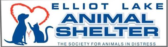 Helping out animals with a motorcycle run