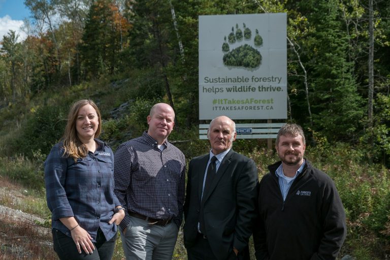 New Billboard Celebrates Forests and Environmental Stewardship