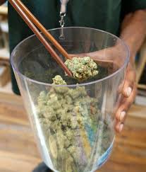 Cannabis on the agenda