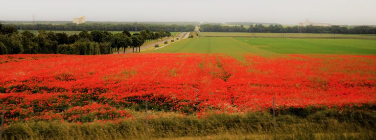 REMEMBRANCE DAY ceremonies and other events this weekend – Espanola and across the North Shore and Manitoulin Island