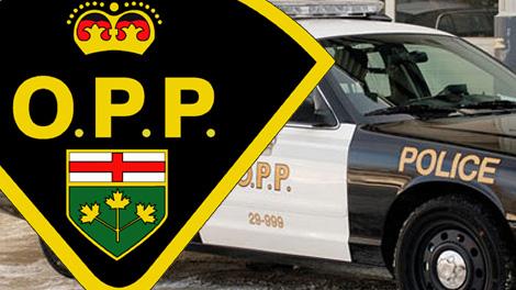 Espanola OPP arrest male after domestic disturbance