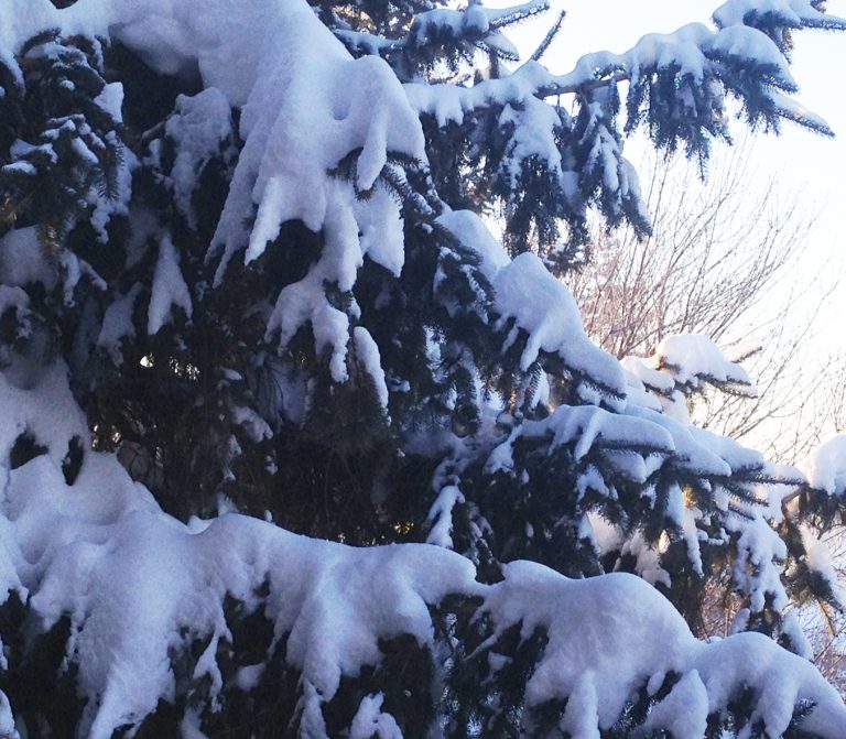 Snow Storm Warning for Elliot Lake – Blind River Corridor