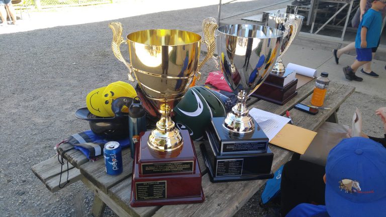 SPORTS: Second Annual Mindemoya Youth Co-ed Softball Tournament hosts teams from throughout the North Shore
