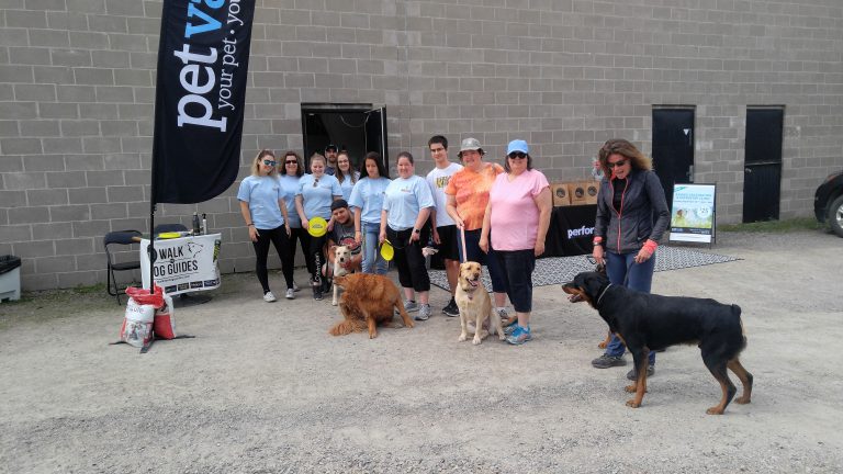 Pet Valu Walk for Guide Dogs held in Espanola