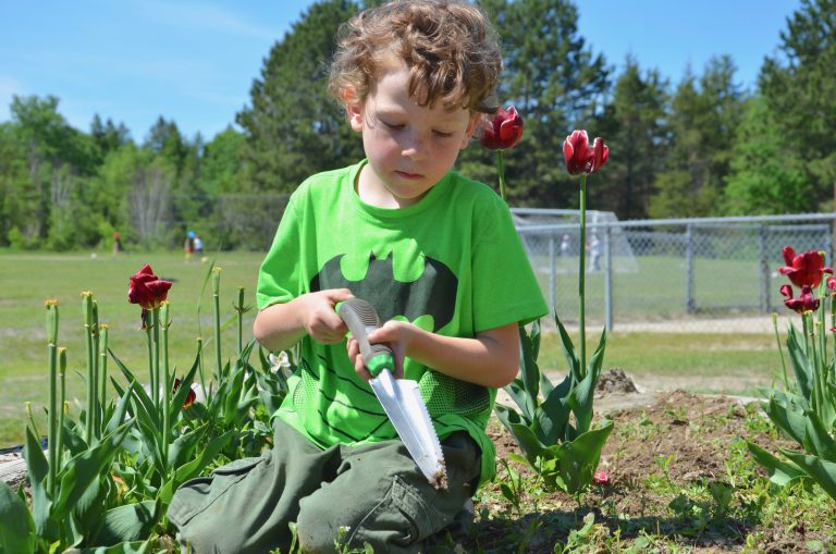 Rainbow Schools among fastest growing with EcoSchools certifications