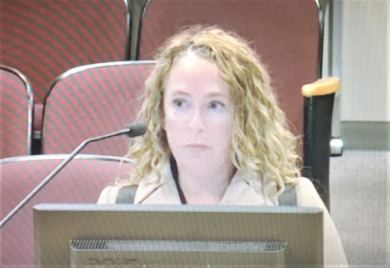 Former councilor/volunteer removed for commission