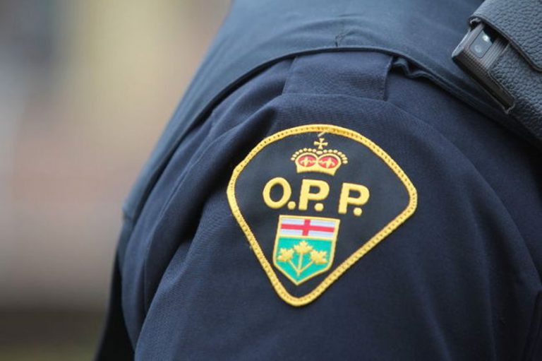 Fatal collision near Sudbury