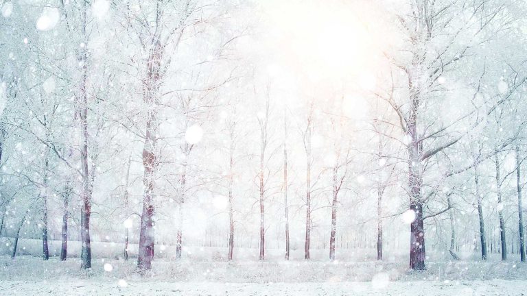 Winterfest features new seniors’ event
