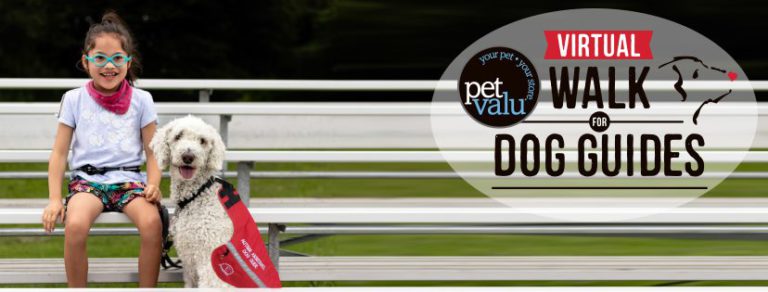 Virtual Pet Valu Walk this year in Elliot Lake