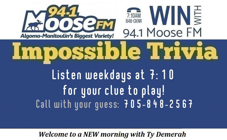 Moose Impossible Trivia