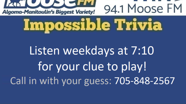 Moose Impossible Trivia My Algoma Manitoulin Now
