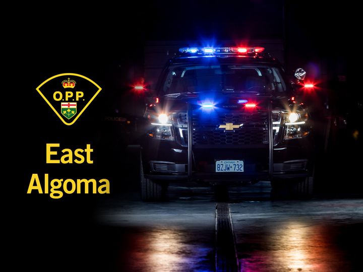 East Algoma OPP investigating hit and run
