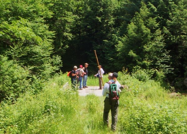 SPINE BEACH COUREURS DE BOIS