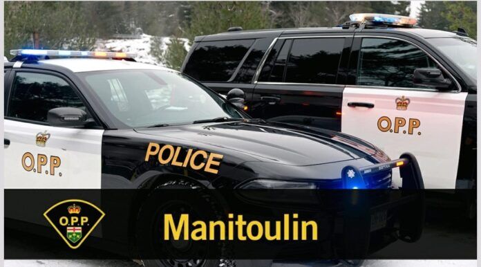 Manitoulin OPP respond to call about injured bobcat