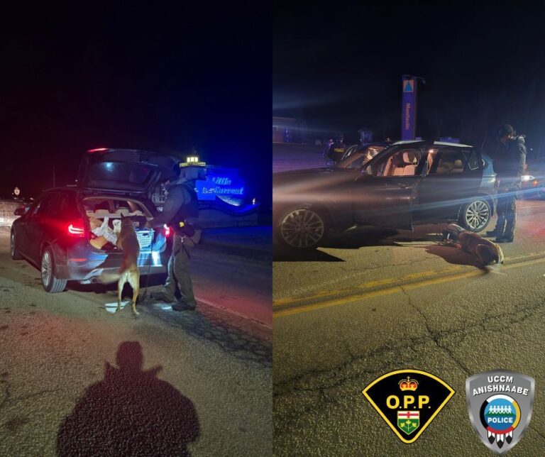 Police service dog nets thousands in drugs at RIDE check
