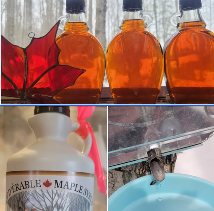 11th Annual Dewar Family Maple Syrup Auction underway
